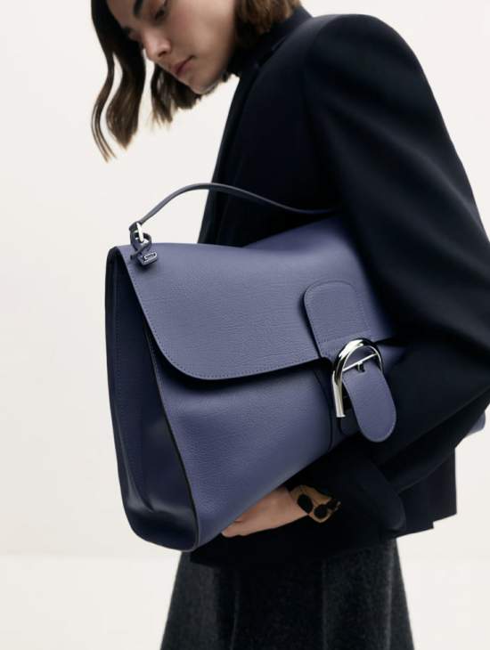 Picture of Delvaux Handbags _SKUfw241653581fw